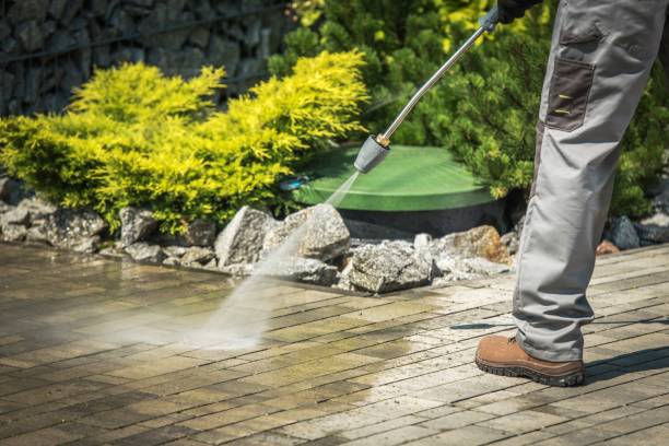 Best Gutter Cleaning  in Hamilton, GA